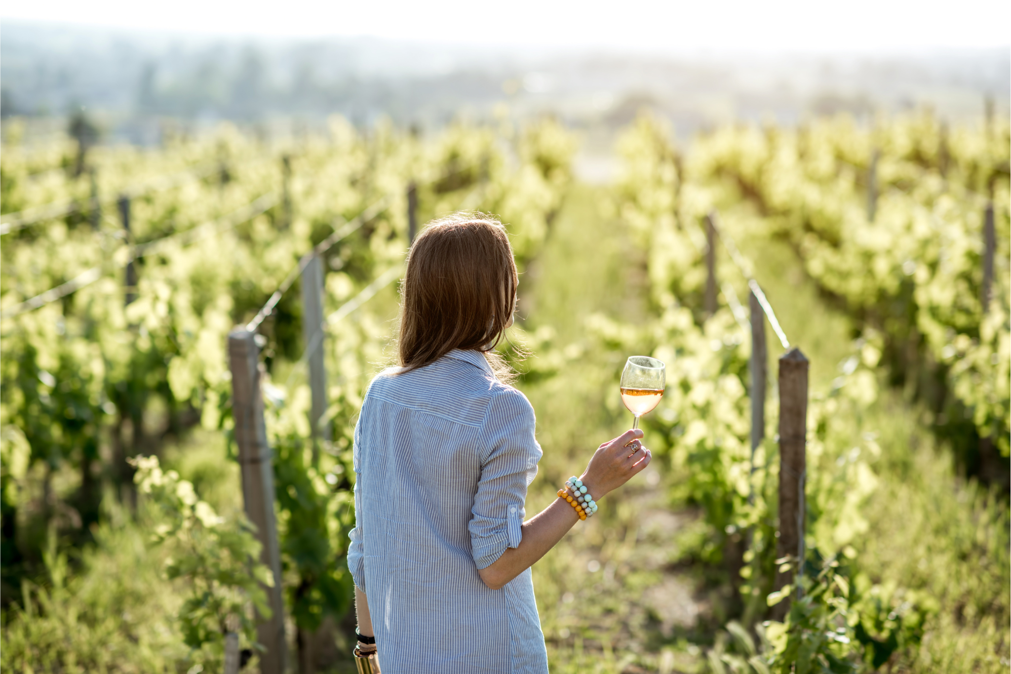 SUNSET AND WINE EXPERIENCE