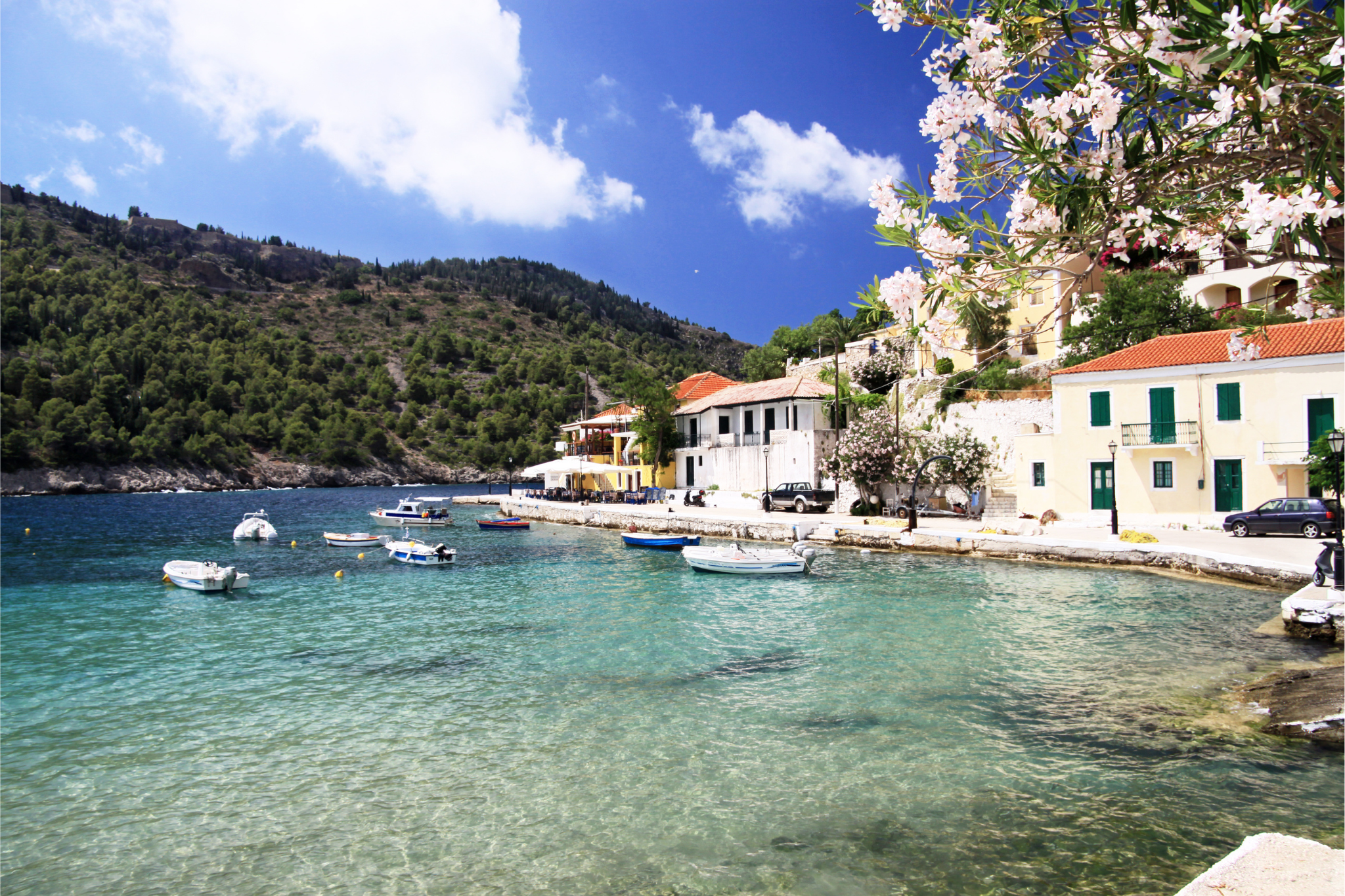 KEFALONIA ISLAND DAILY TOUR - Image 16