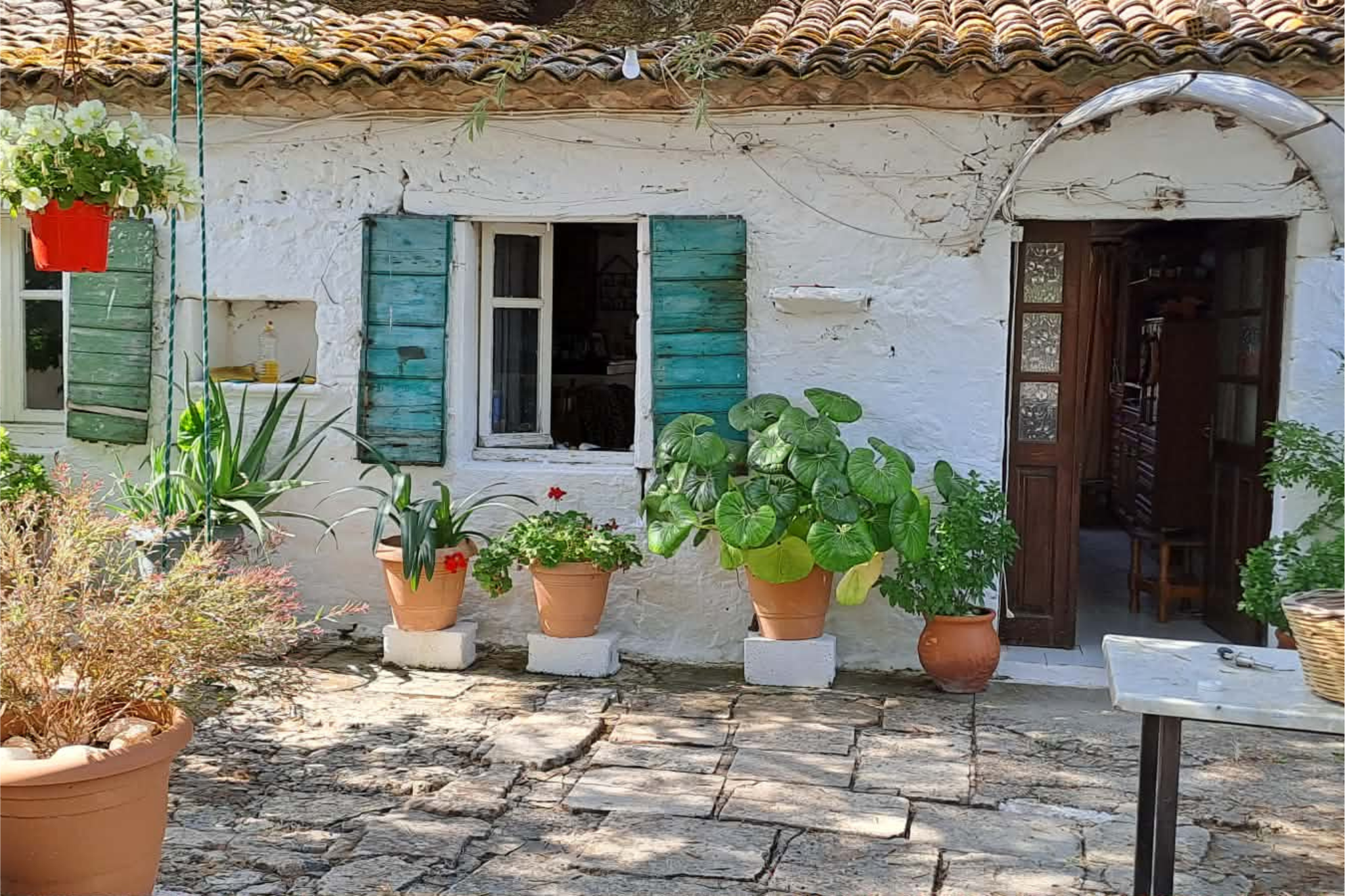 Hidden Zakynthos Experience - Image 7