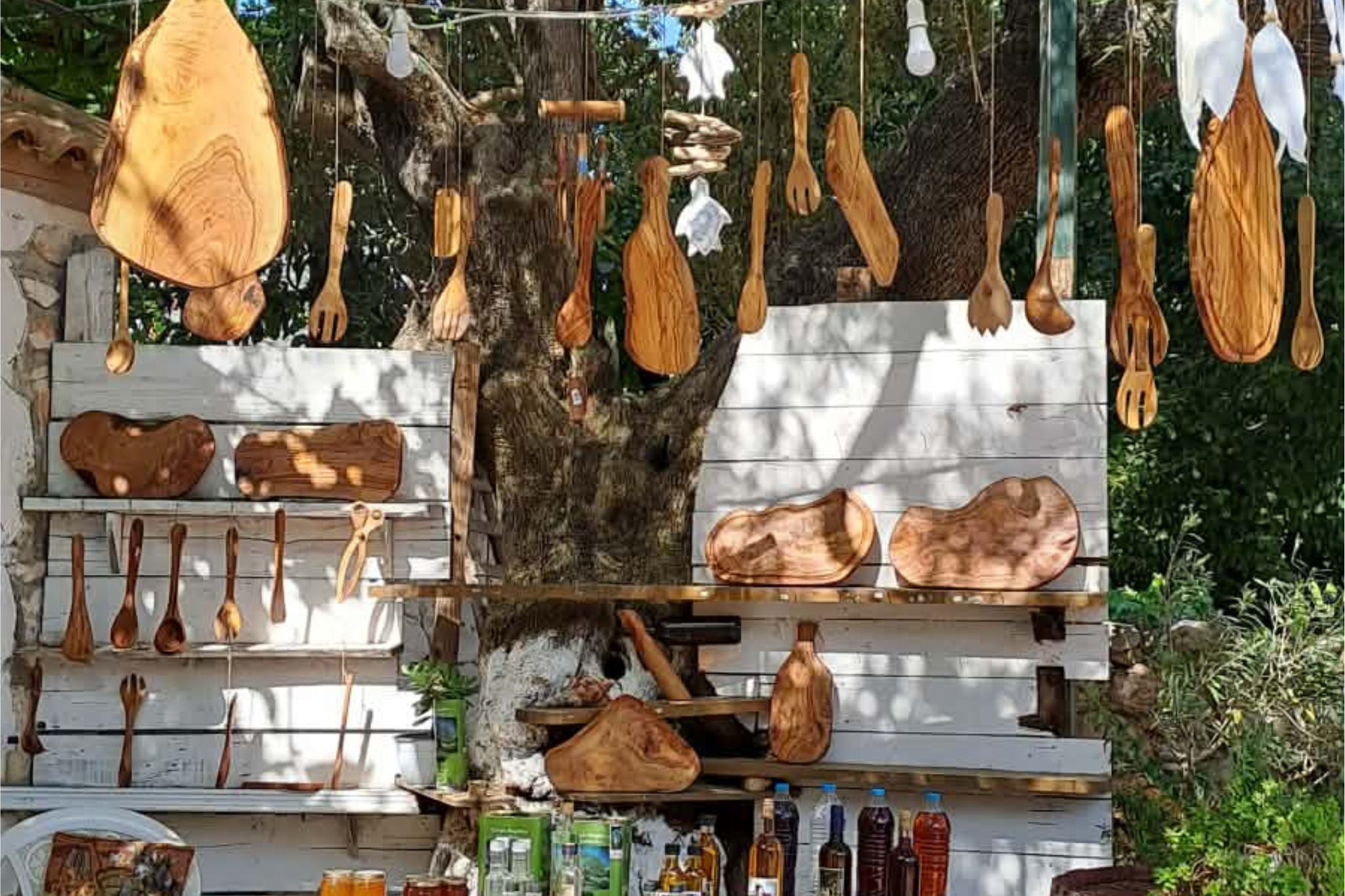 Hidden Zakynthos Experience - Image 5